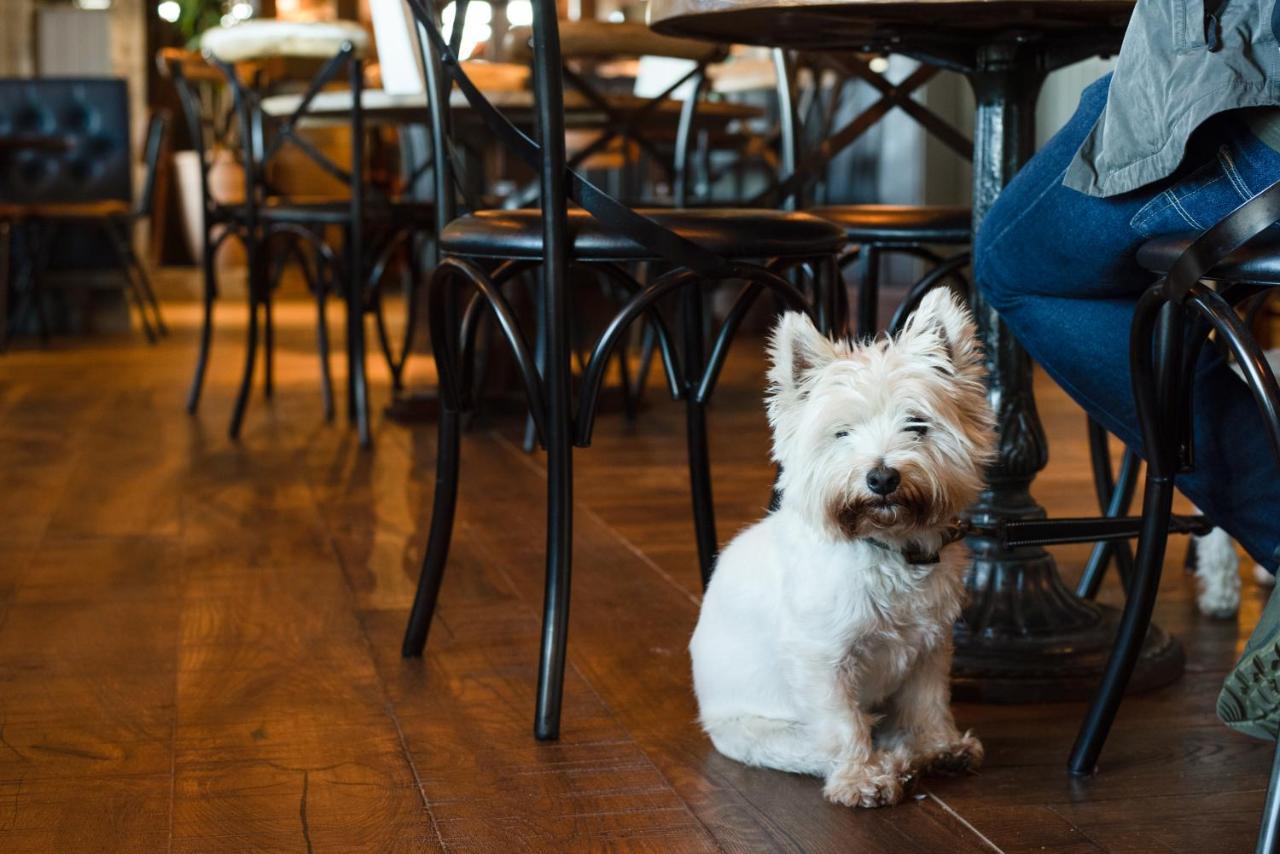 The Seaburn Inn - The Inn Collection Group Sunderland  Dış mekan fotoğraf